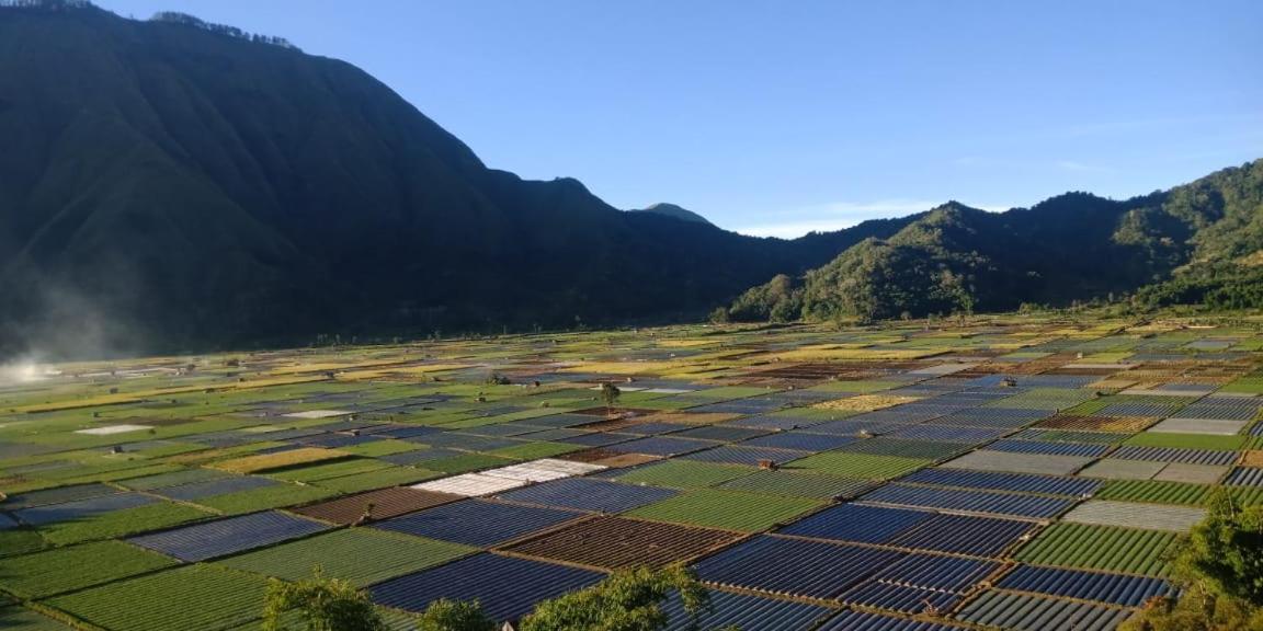 Rinjani Hill Hotel Sembalunlawang Eksteriør billede