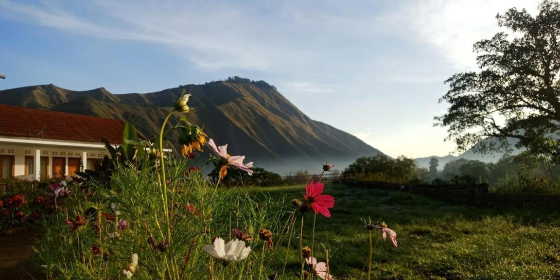 Rinjani Hill Hotel Sembalunlawang Eksteriør billede