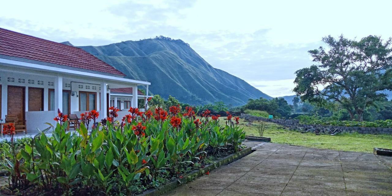 Rinjani Hill Hotel Sembalunlawang Eksteriør billede