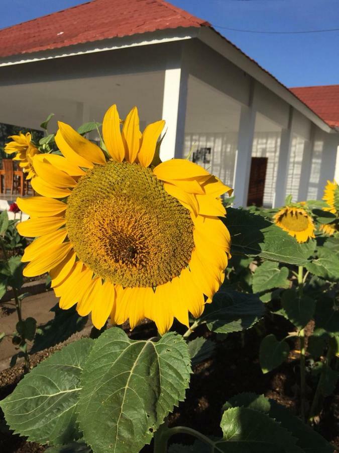 Rinjani Hill Hotel Sembalunlawang Eksteriør billede