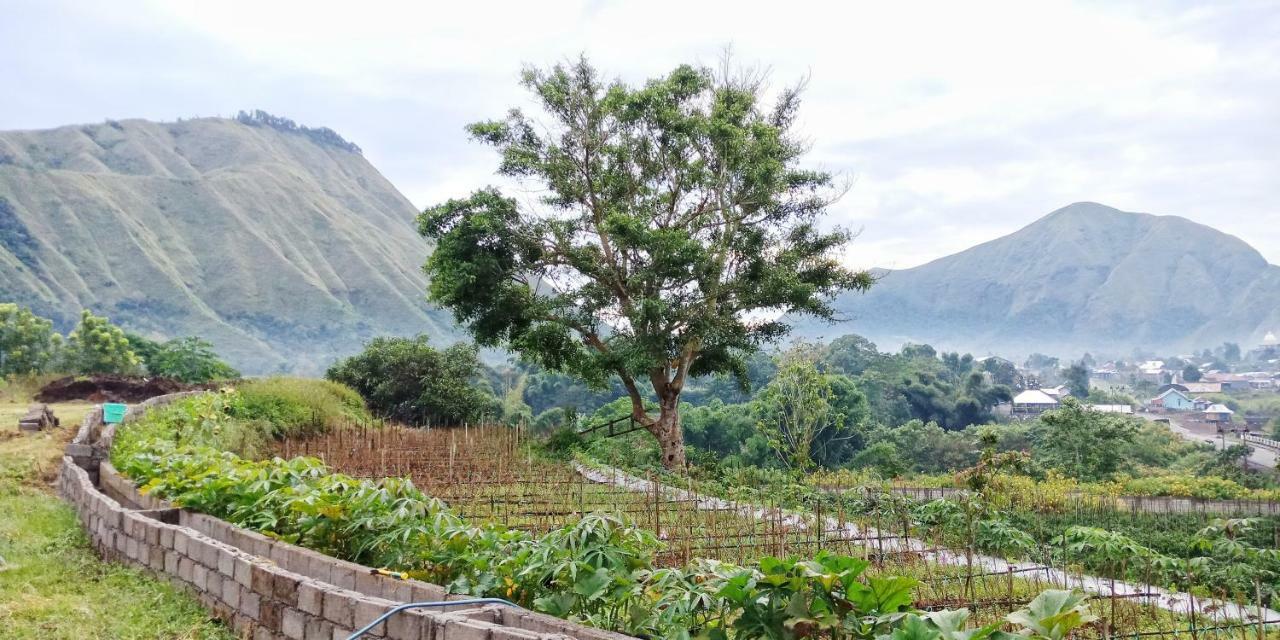 Rinjani Hill Hotel Sembalunlawang Eksteriør billede